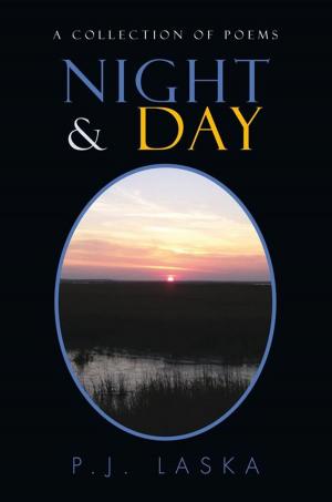 Cover of the book Night & Day by William R. Reimann