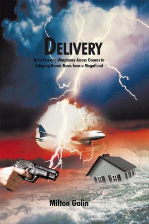bigCover of the book Delivery by 