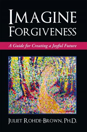Cover of the book Imagine Forgiveness by Chris Barrows