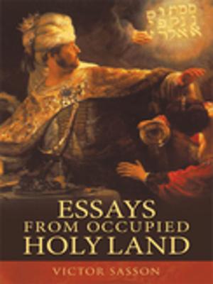 Cover of the book Essays from Occupied Holy Land by Anthony Webb