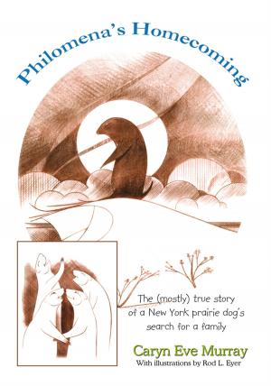 Cover of the book Philomena's Homecoming by Victor D'Amico