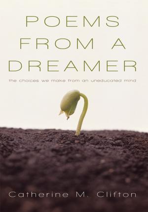 bigCover of the book Poems from a Dreamer by 