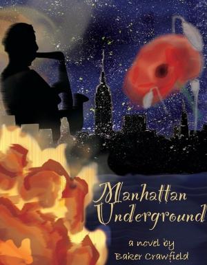 Cover of the book Manhattan Underground by David Mack