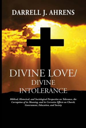Cover of the book Divine Love/Divine Intolerance by Thomas P. Ostrom