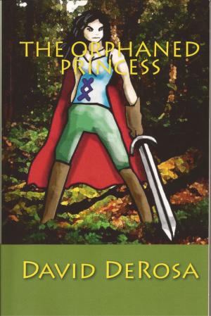 Cover of the book The Orphaned Princess by Ellie Raine