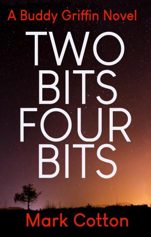 Cover of the book Two Bits Four Bits by Karen Dionne