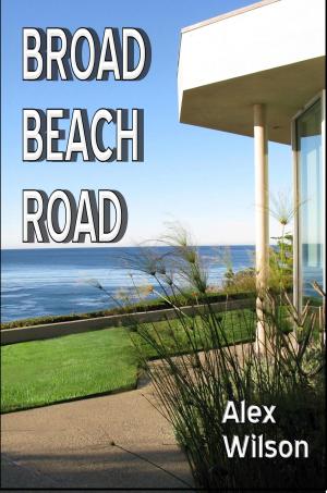 Cover of the book Broad Beach Road by Alex Wilson