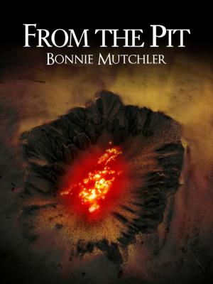 Cover of the book From the Pit by Malobi Sinha