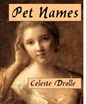 Cover of the book Pet Names (A Short Story, Oh So Sad ... yeah, right) by C.S. Caspar