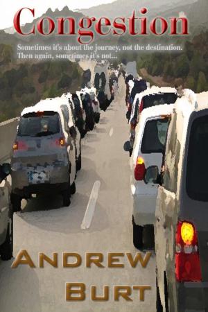 Cover of Congestion