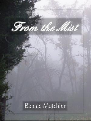 Book cover of From the Mist