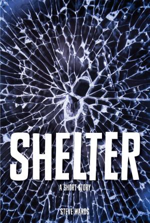 Cover of the book Shelter by Shelli Quinn