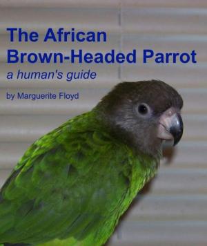 Book cover of African Brown-Headed Parrot: A Human's Guide