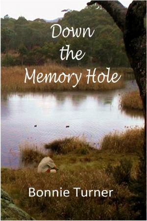 Cover of the book Down the Memory Hole by P. Anthony Priest