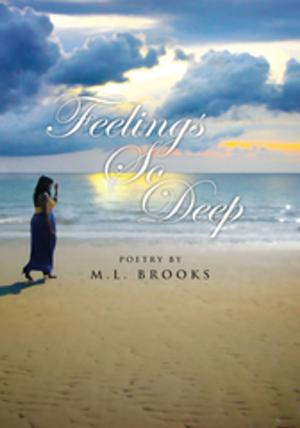 Cover of the book Feelings so Deep by James Krieger