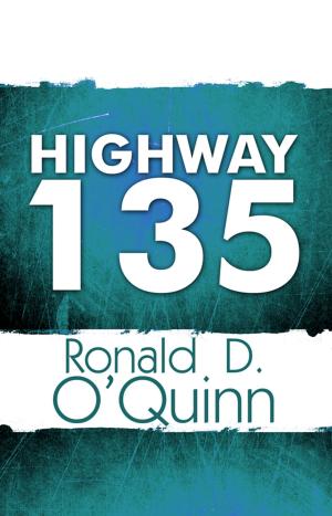 Cover of the book Highway 135 by John Hautamaki