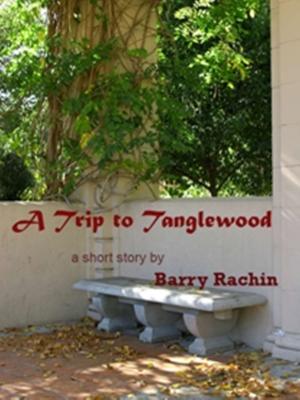 Cover of the book A Trip to Tanglewood by Barry Rachin