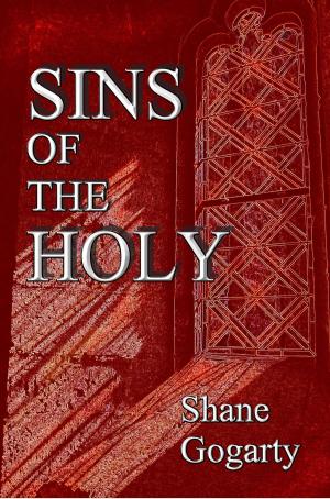 Cover of the book Sins of the Holy by BJ Sheppard