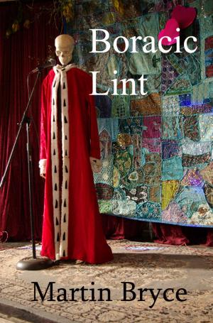 Cover of the book Boracic Lint by Maurizio Rodolfi, MAURIZIO RODOLFI