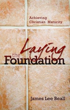 Cover of the book Laying The Foundation by Voltaire, 