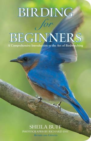 Book cover of Birding for Beginners