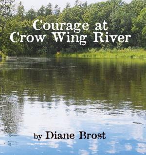 Cover of the book Courage at Crow Wing River by Glee M. Hillcrest