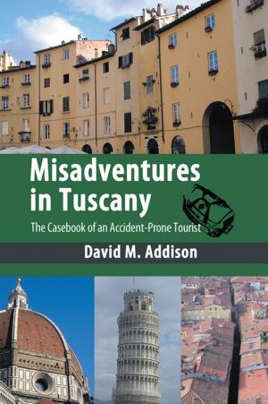 Cover of the book Misadventures in Tuscany by Dr. Robert F. Bollendorf EdD CADC