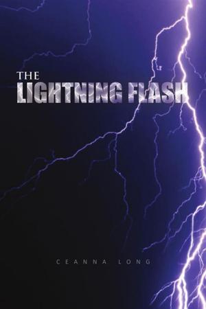 Cover of the book The Lightning Flash by C.P.T. Jennings