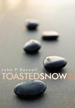 Book cover of Toasted Snow