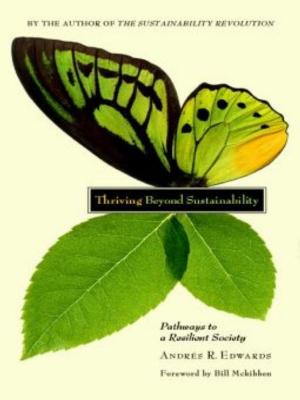 Cover of the book Thriving Beyond Sustainability by L. Hunter Lovins, Stewart Wallis, Anders Wijkman, John Fullerton