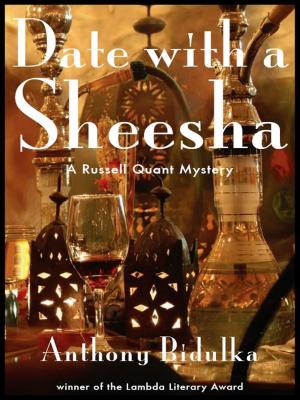 Cover of the book Date With A Sheesha by Anthony Bidulka