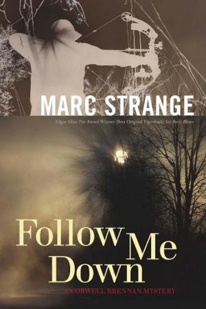 Book cover of Follow Me Down
