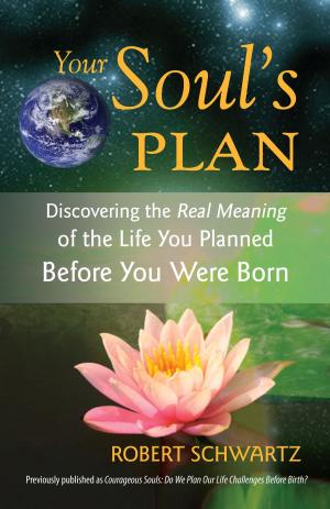 Cover of the book Your Soul's Plan by Gershon Winkler