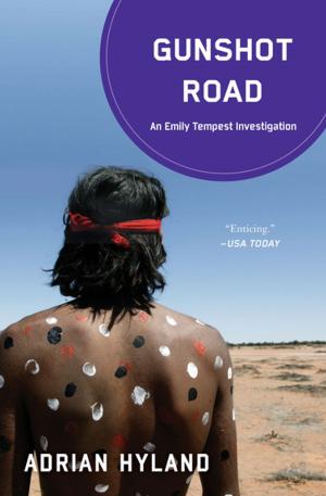 Cover of the book Gunshot Road by Amanda McCabe