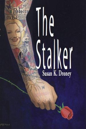 Cover of the book The Stalker by Divya Singh