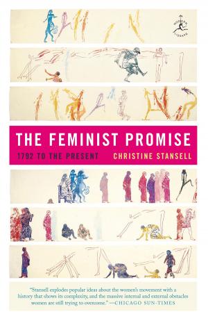 Cover of the book The Feminist Promise by David Gunn