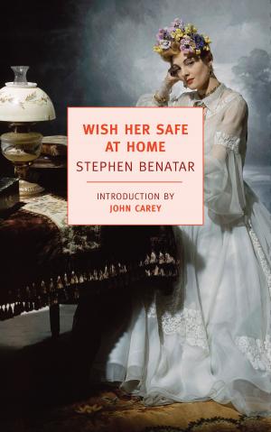 Cover of the book Wish Her Safe At Home by William Max Nelson