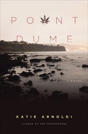 Cover of the book Point Dume by Tom Angleberger, Paul Dellinger