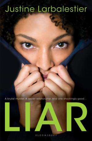 Cover of the book Liar by Juliette Cezzar