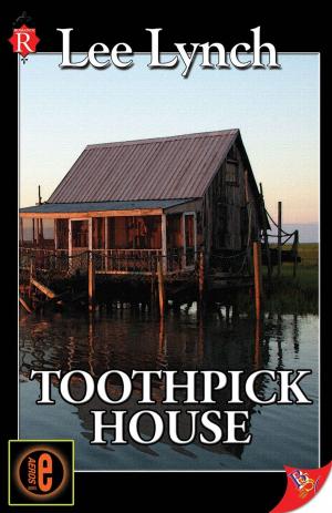 bigCover of the book Toothpick House by 