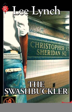 Book cover of The Swashbuckler