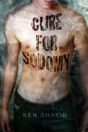 Cover of the book The Cure for Sodomy by Galia Ryan