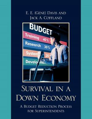 Cover of the book Survival in a Down Economy by Daniel Heller