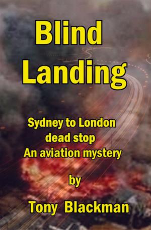 Book cover of Blind Landing