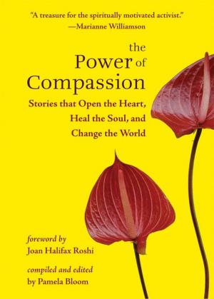 Cover of the book The Power of Compassion: Stories That Open the Heart Heal the Soul and Change the World by Ralph Harvey