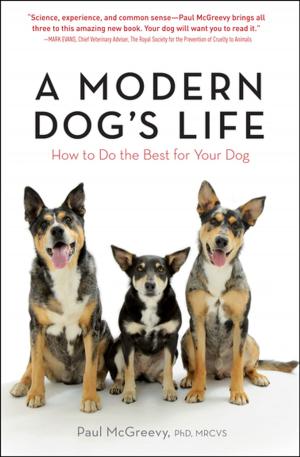 Book cover of A Modern Dog's Life