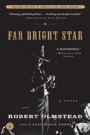 Cover of the book Far Bright Star by Jill McCorkle