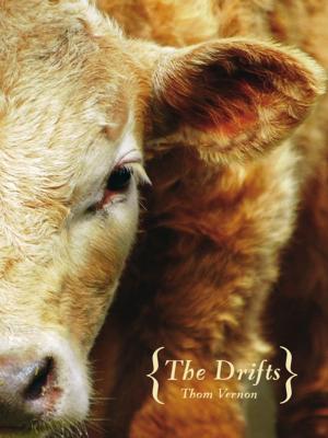 Cover of the book Drifts, The by Jean Johnson