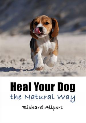 Cover of the book Heal Your Dog the Natural Way by Melanie Clegg