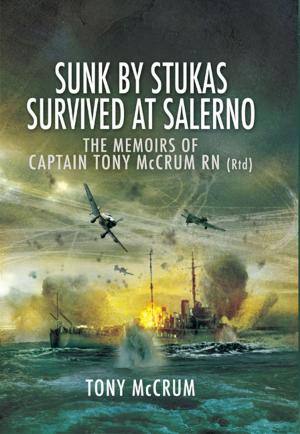 Cover of the book Sunk by Stukas, Survived at Salerno by Jim Crossley